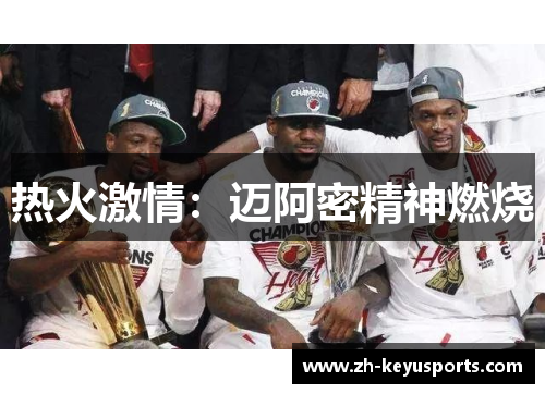 热火激情：迈阿密精神燃烧